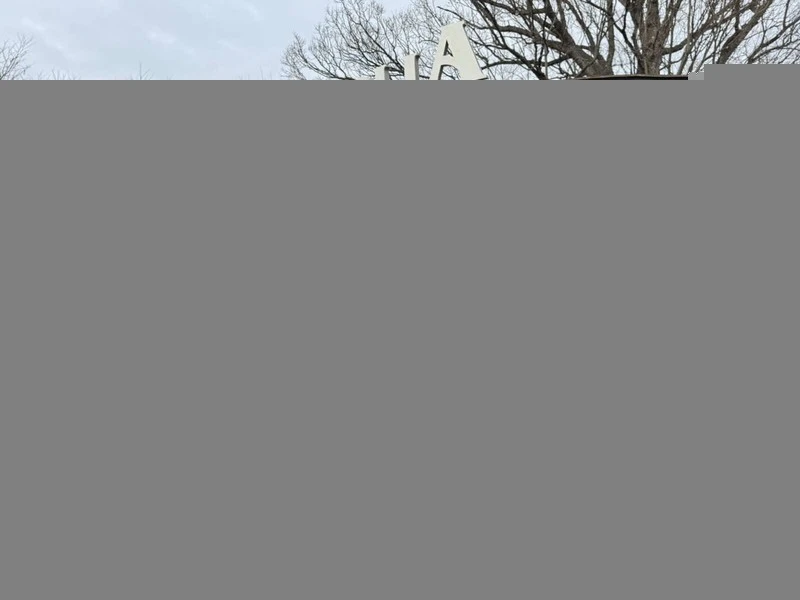 Ford C-max | Mobile.bg � ����������� 1