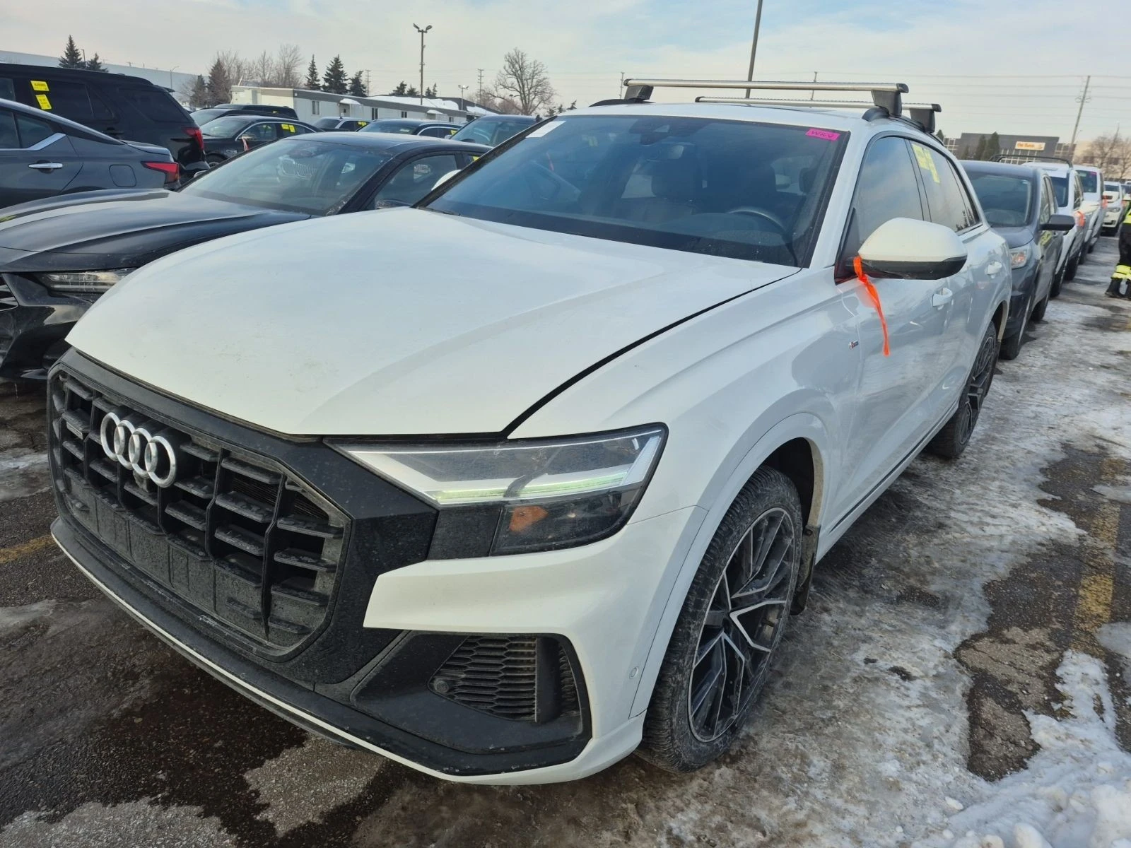 Audi Q8 PROGRESSIV � ����������� & ���� ������ | Mobile.bg � ����������� 1