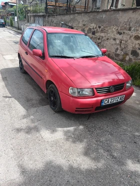     VW Polo