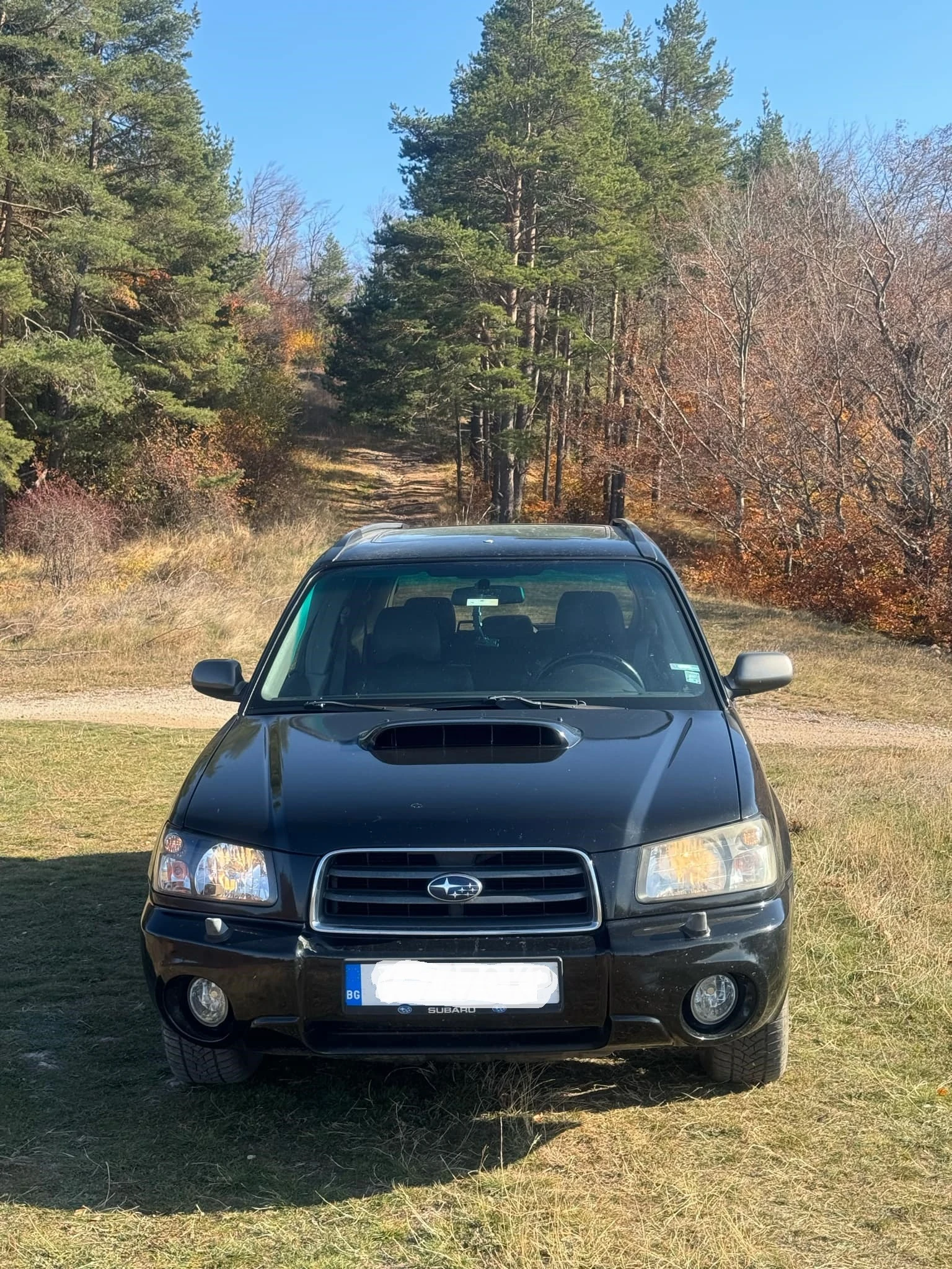 Subaru Forester 2.0 XT - изображение 3