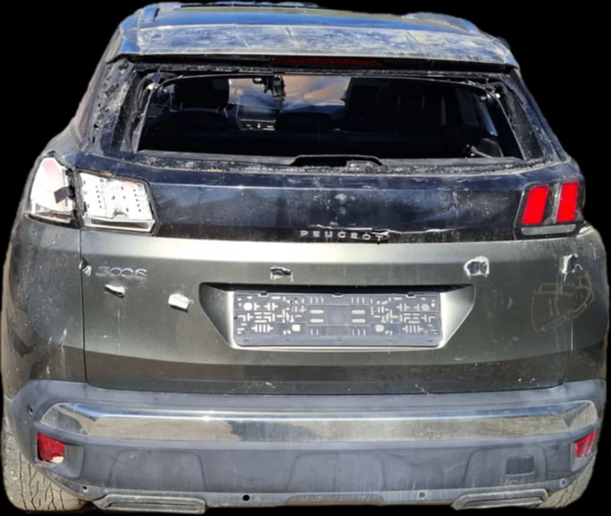 Peugeot 3008 P84E | Mobile.bg   14