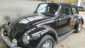 VW Beetle