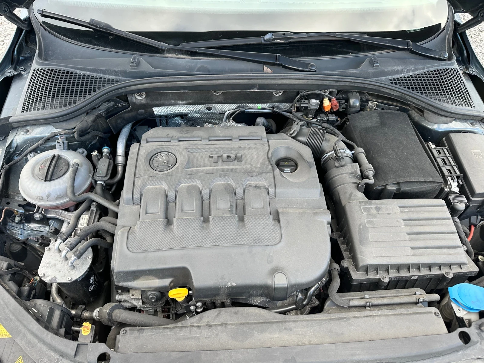 Skoda Octavia 2.0 DSG.  | Mobile.bg � ����������� 13