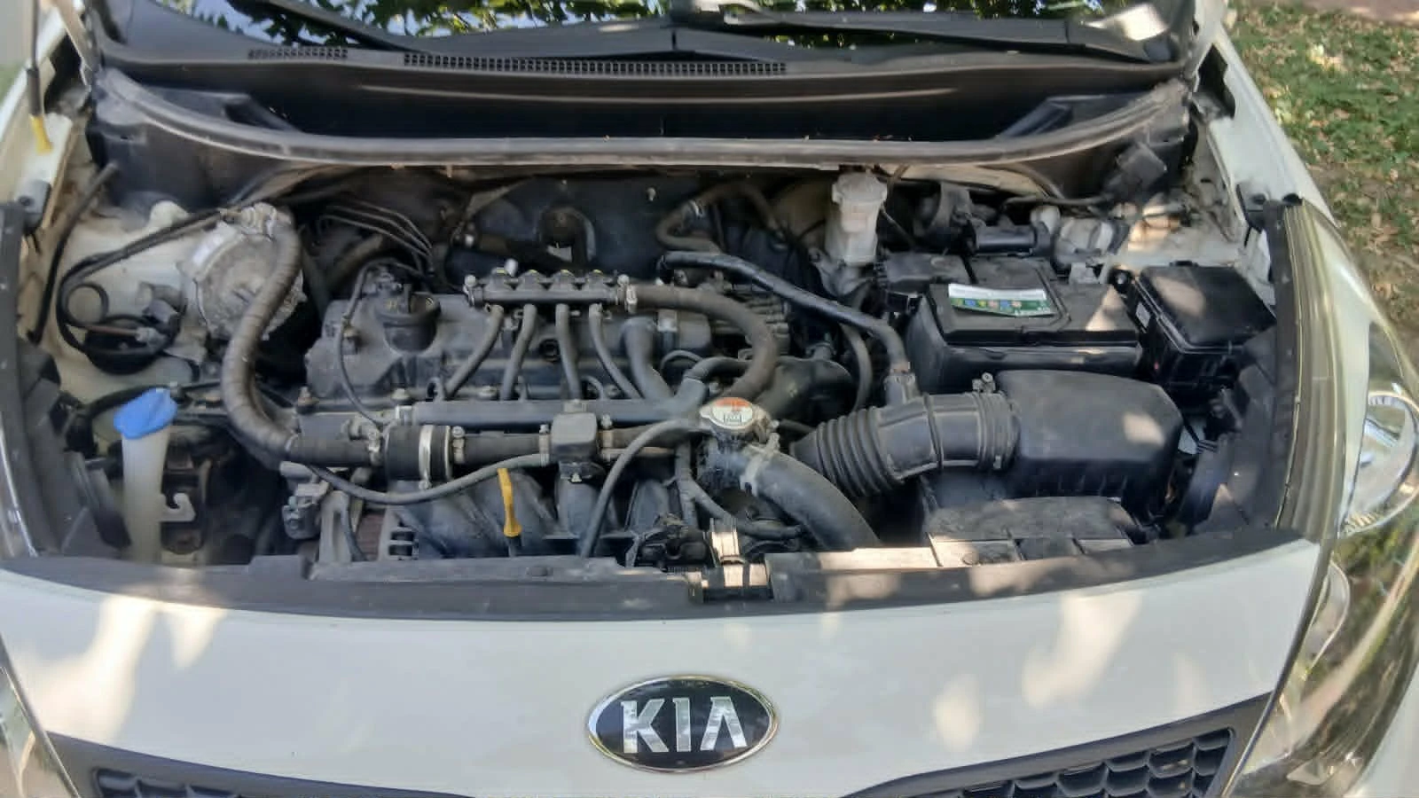 Kia Rio 2017, снимка 4 - Автомобили и джипове - 55382089