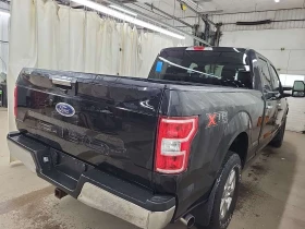 Ford F150 XLT CREW 5.0L| CARFAX|  - 24200 € / 47331.09 лв. - 91094175 3