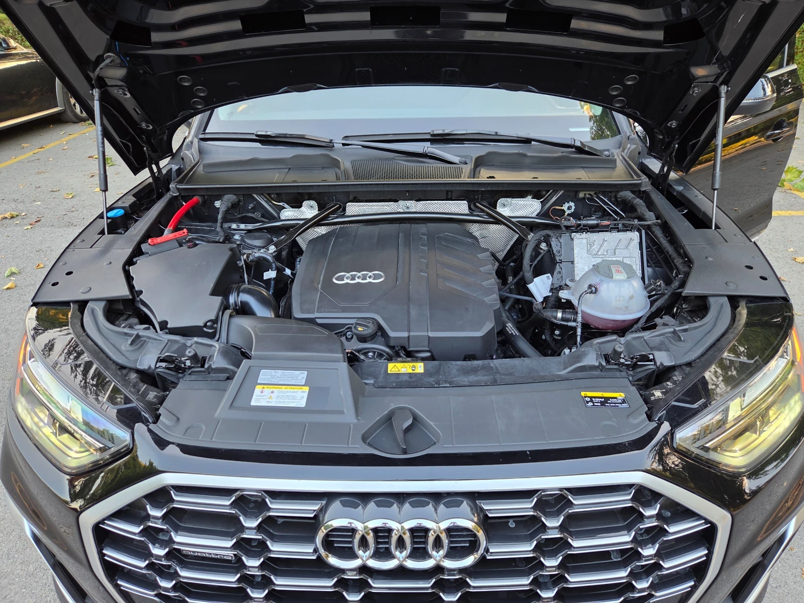 Audi Q5 Audi Q-5 PREMIUM PLUS 45 S-LINE MILD HYBRID  | Mobile.bg   15