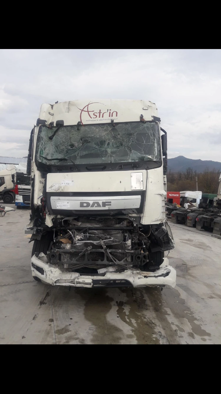 Daf FT XF 106 , снимка 1 - Камиони - 27105922