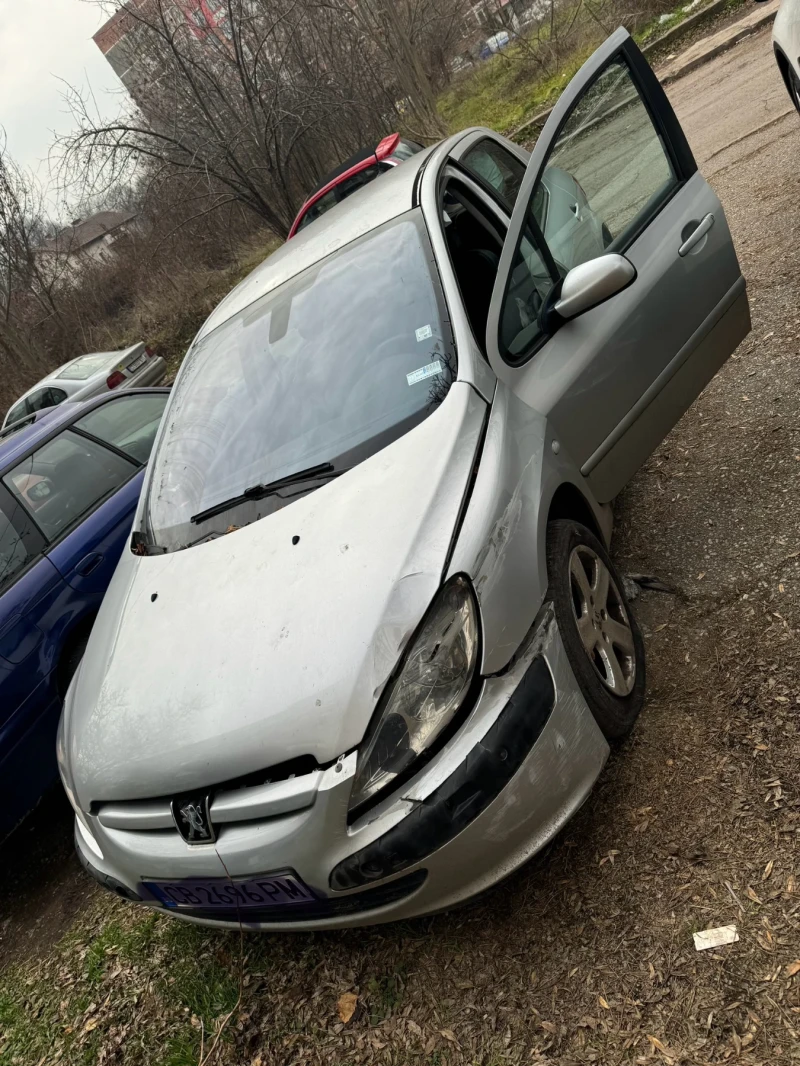 Peugeot 307 1.6i, снимка 1 - Автомобили и джипове - 49234962