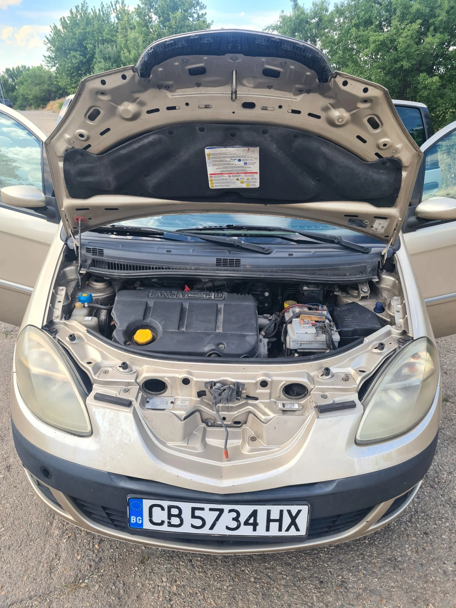 Lancia Musa 1, 9 JTD MultiJet version 350AXC1A - изображение 7