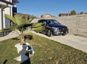 Mercedes-Benz ML 250 AMG OPTIC - 16500 € / 32271.19 лв. - 75618132 5