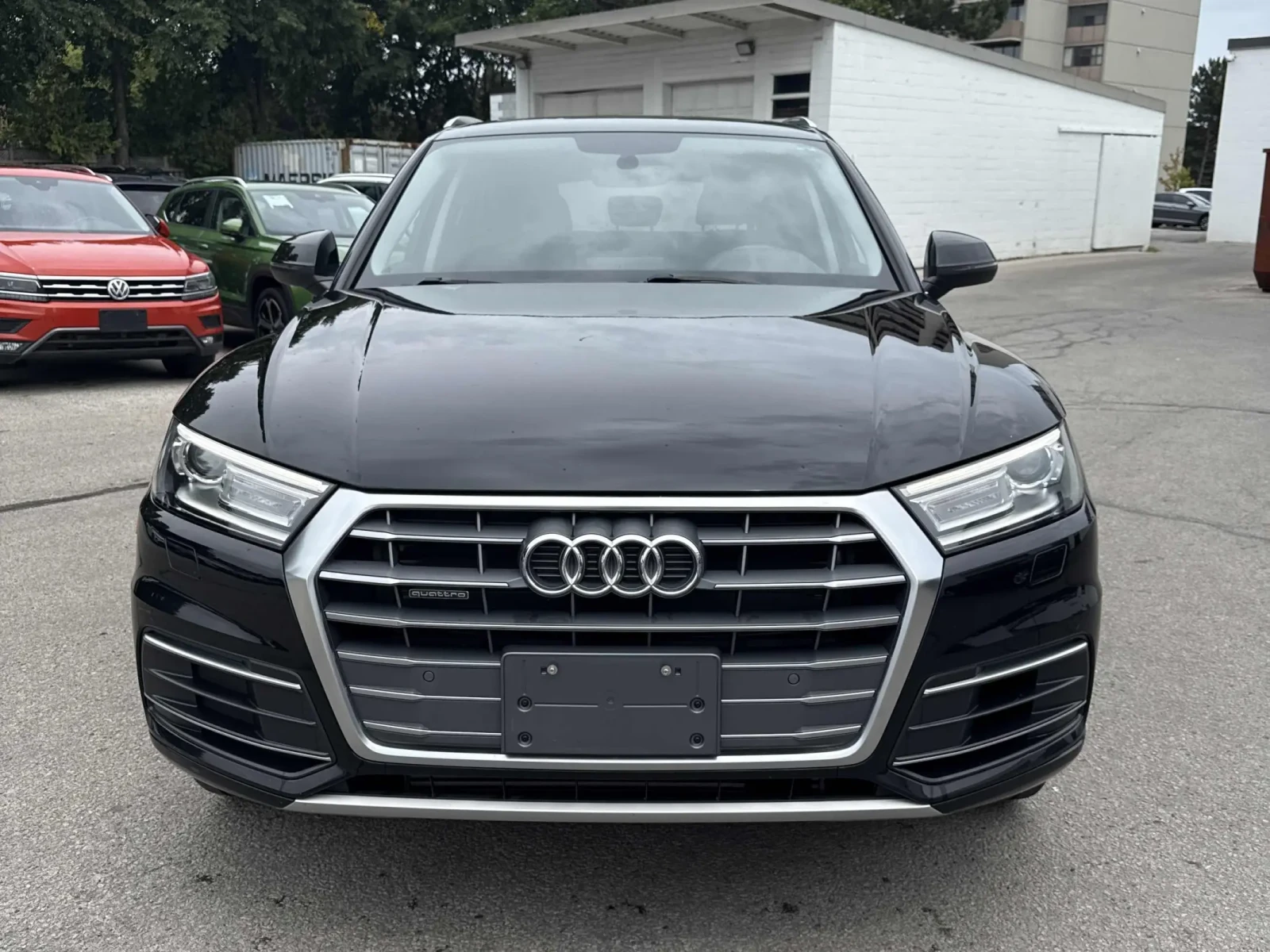 Audi Q5 * PROGRESSIV * CARFAX * ЦЕНА ДО БГ - изображение 3