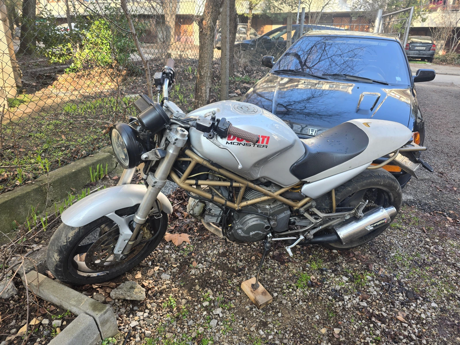 Ducati Monster