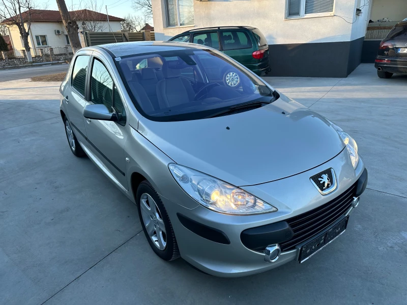 Peugeot 307 1.6HDI, снимка 4 - Автомобили и джипове - 48836834