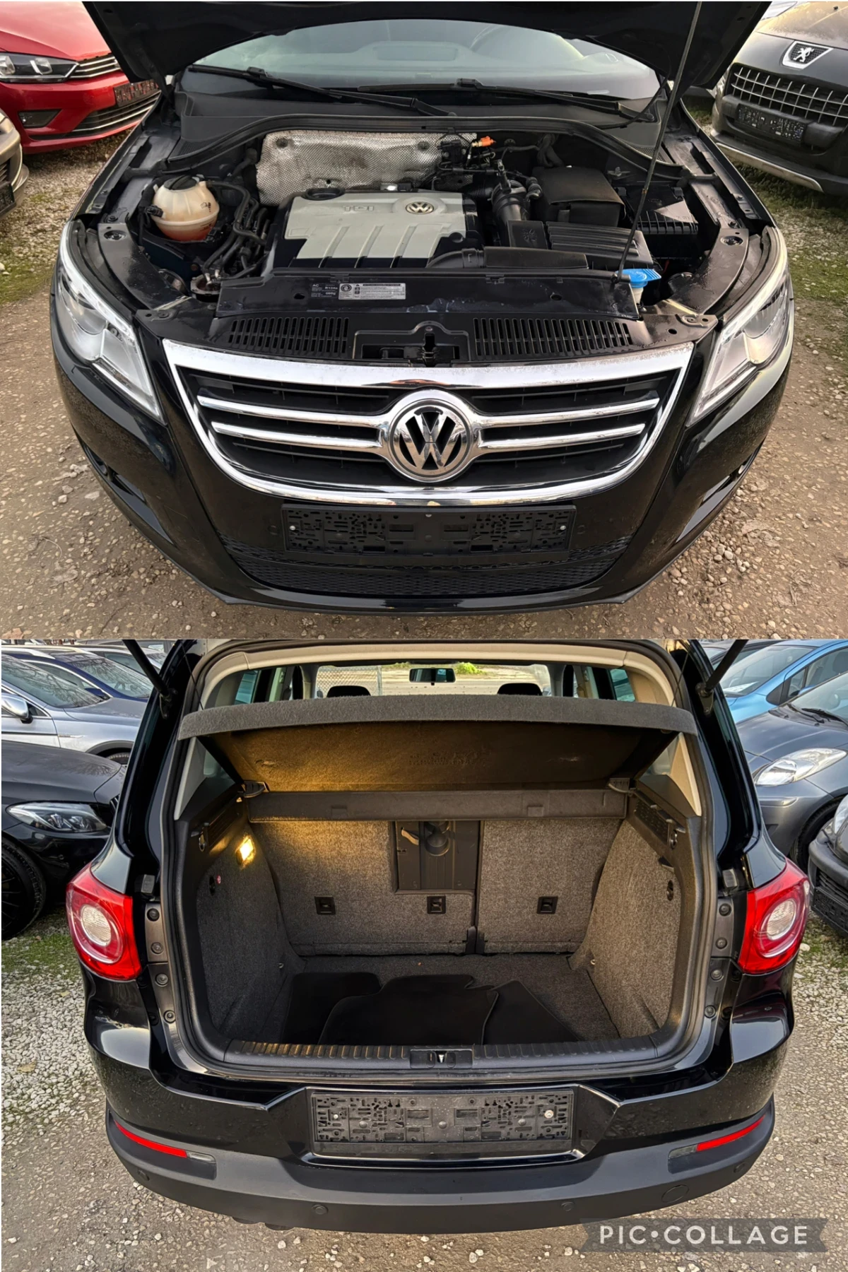 VW Tiguan 2.0 TDI 4x4  | Mobile.bg � ����������� 14