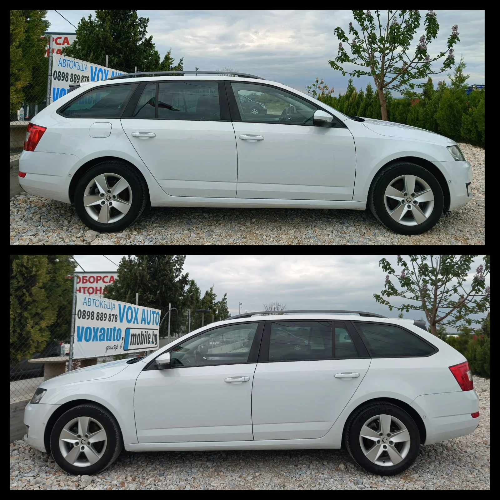 Skoda Octavia 1.6 куб. 110 к.с. КОЖА , снимка 12 - Автомобили и джипове - 53078911