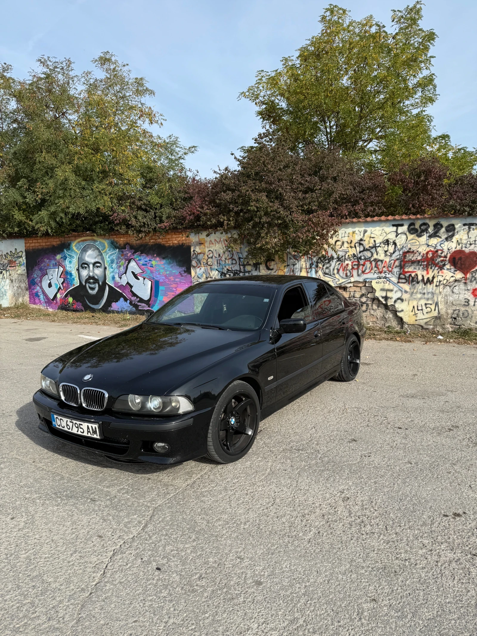 BMW 530, снимка 3 - Автомобили и джипове - 56418595