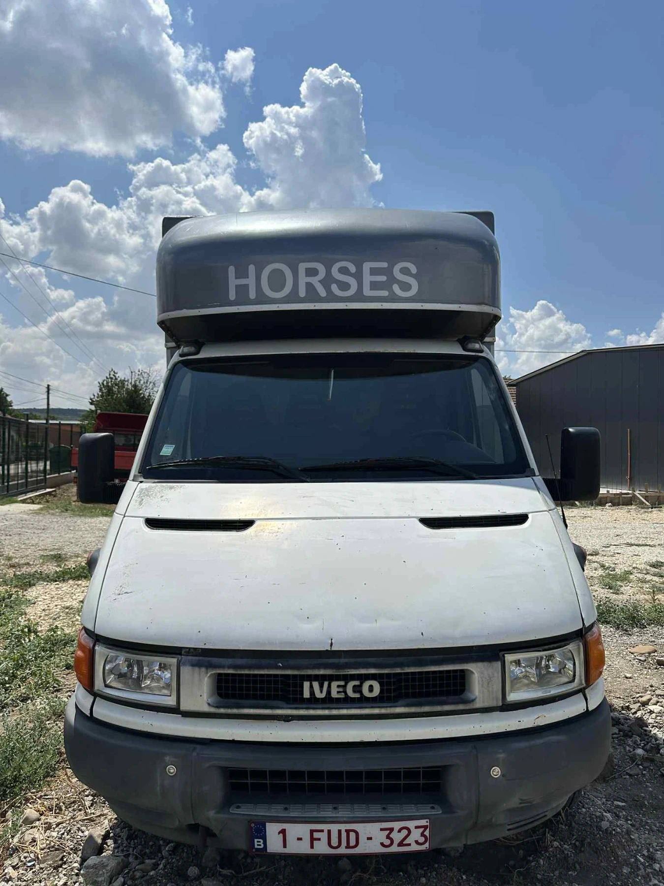 Iveco 35c11 Животновоз - изображение 3
