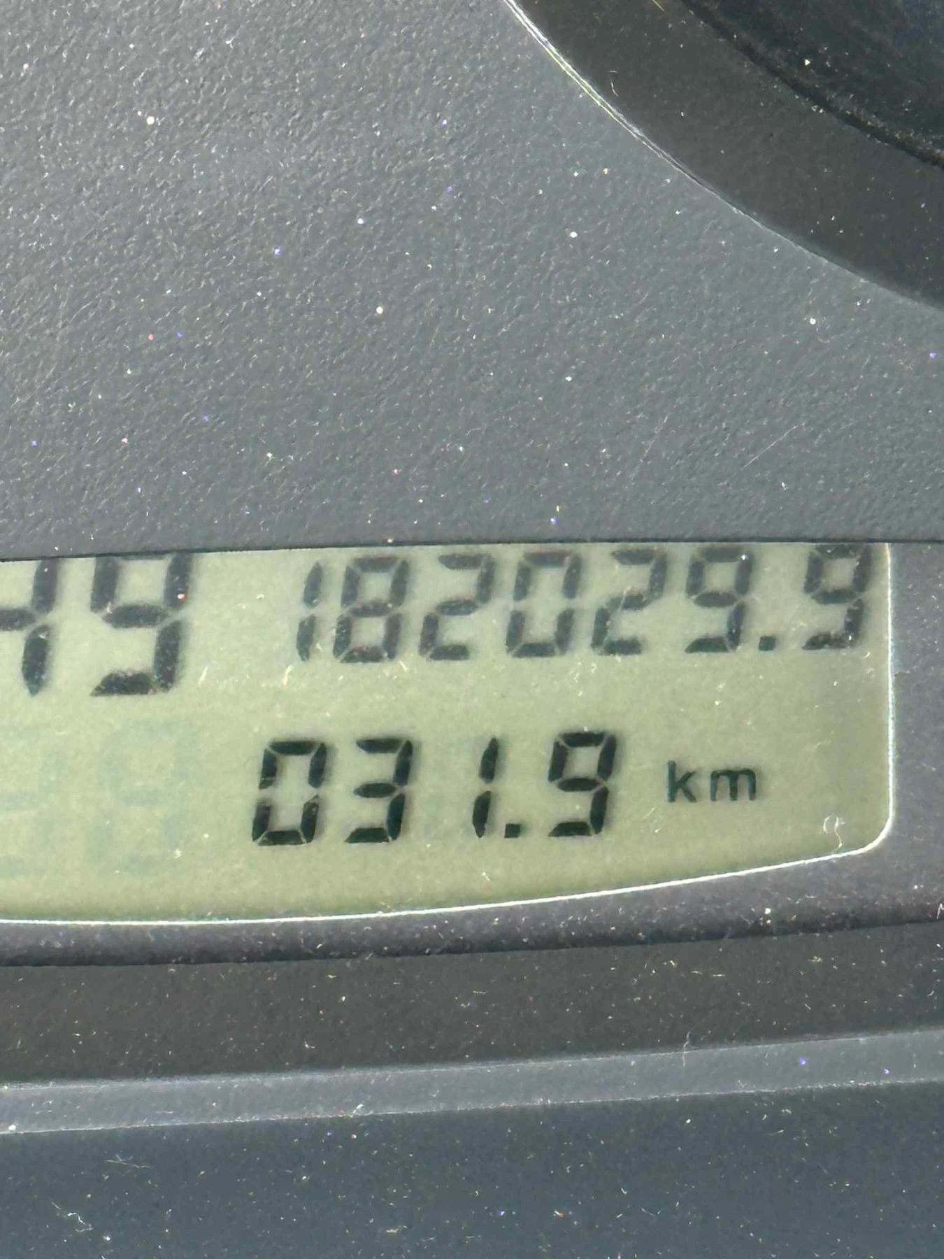Iveco 35c11 Животновоз - изображение 5