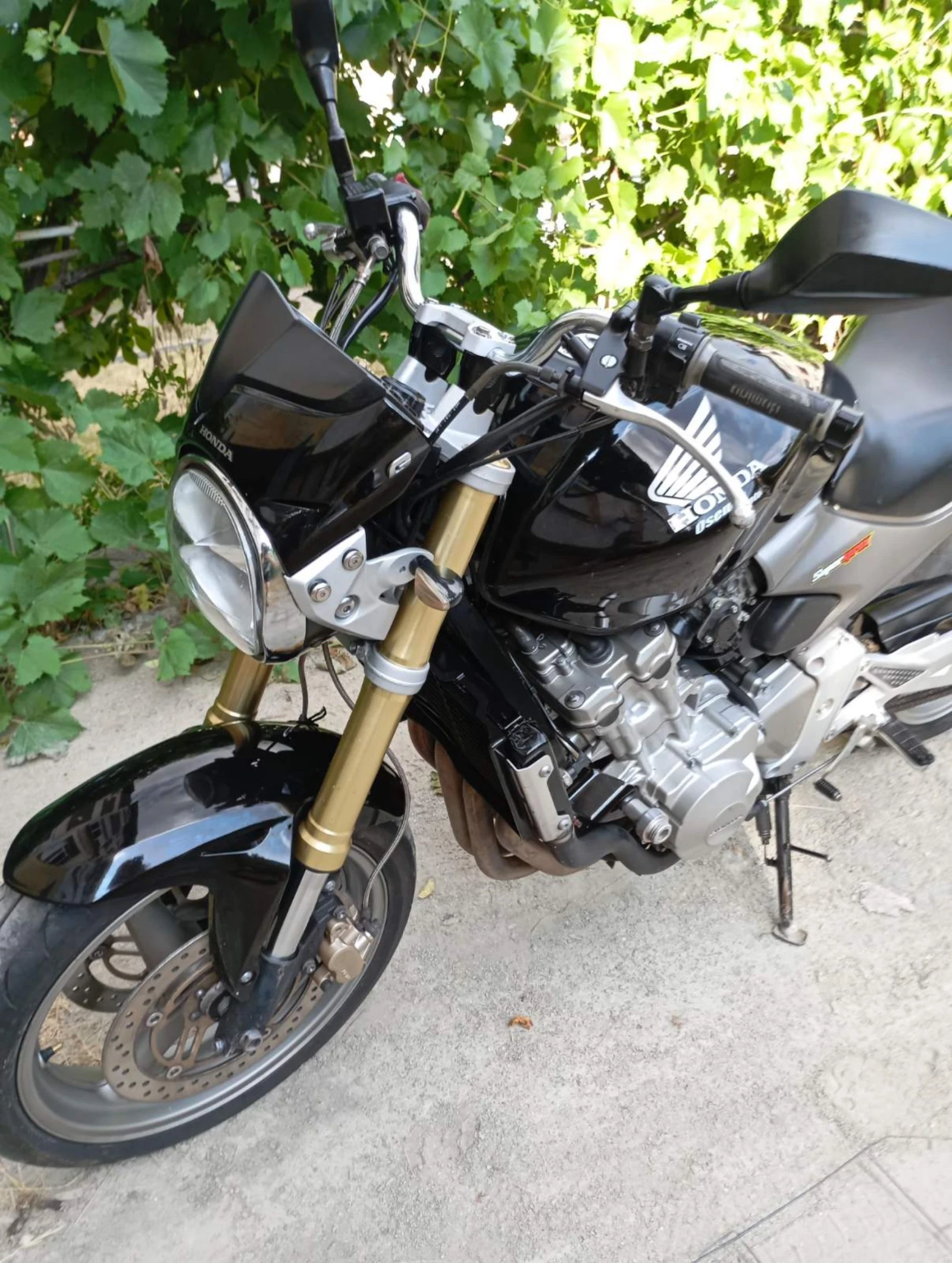 Honda Hornet  - изображение 8