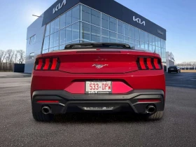 Ford Mustang * 2024 Ford EcoBoost Premium Convertible | C * CAR, снимка 5