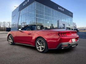 Ford Mustang * 2024 Ford EcoBoost Premium Convertible | C * CAR, снимка 4