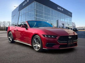 Ford Mustang * 2024 Ford EcoBoost Premium Convertible | C * CAR, снимка 8