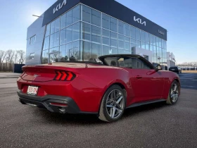Ford Mustang * 2024 Ford EcoBoost Premium Convertible | C * CAR | Auto.bg — изображение 6