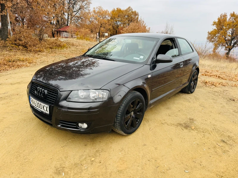 Audi A3 1.9 TDI 105к.с, снимка 3 - Автомобили и джипове - 48155321