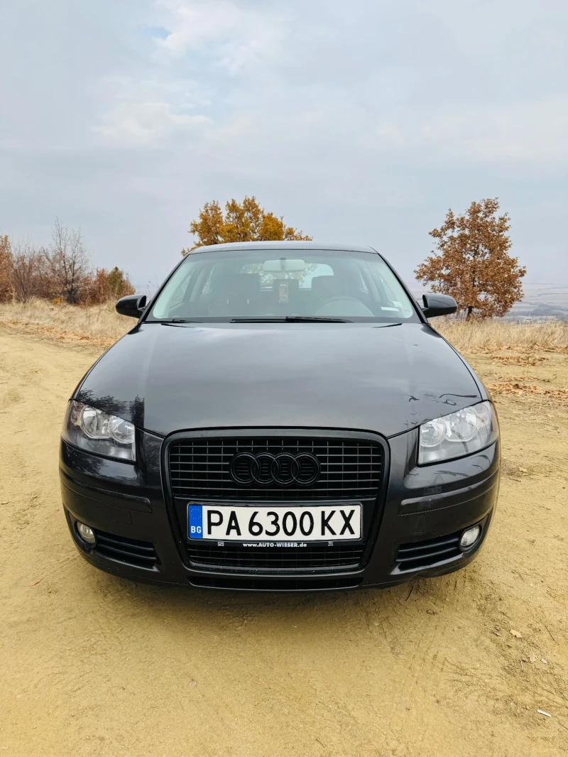 Audi A3 1.9 TDI 105к.с, снимка 1 - Автомобили и джипове - 48155321