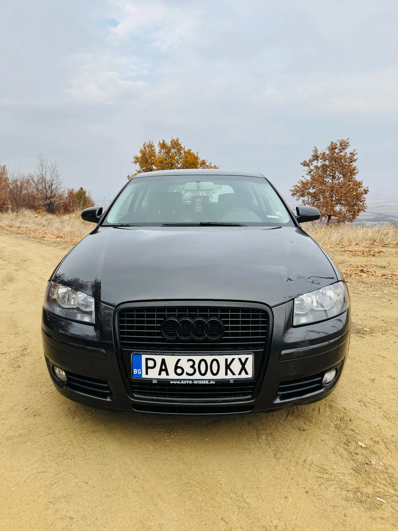 Audi A3 1.9 TDI 105к.с - [1] 