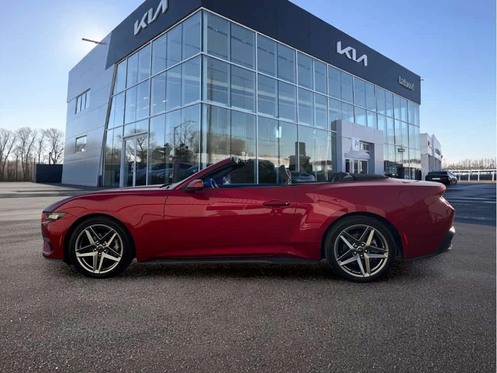 Ford Mustang * 2024 Ford EcoBoost Premium Convertible | C * CAR, снимка 2 - Автомобили и джипове - 53904689