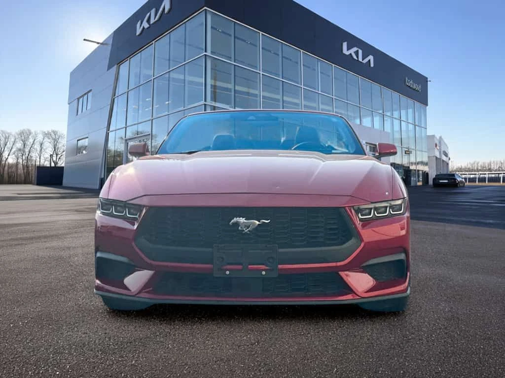 Ford Mustang * 2024 Ford EcoBoost Premium Convertible | C * CAR, снимка 9 - Автомобили и джипове - 53904689