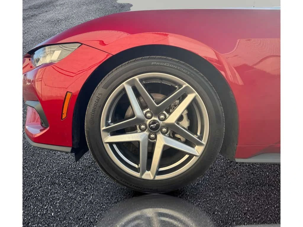 Ford Mustang * 2024 Ford EcoBoost Premium Convertible | C * CAR, снимка 15 - Автомобили и джипове - 53904689