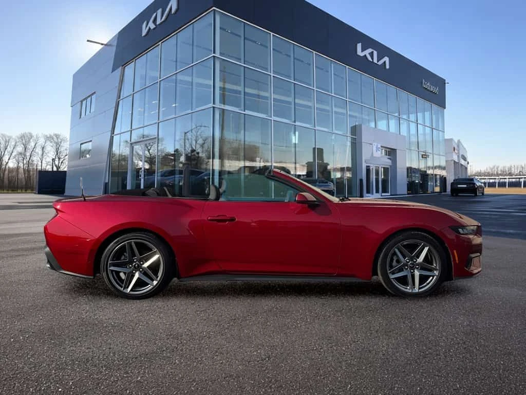 Ford Mustang * 2024 Ford EcoBoost Premium Convertible | C * CAR, снимка 7 - Автомобили и джипове - 53904689