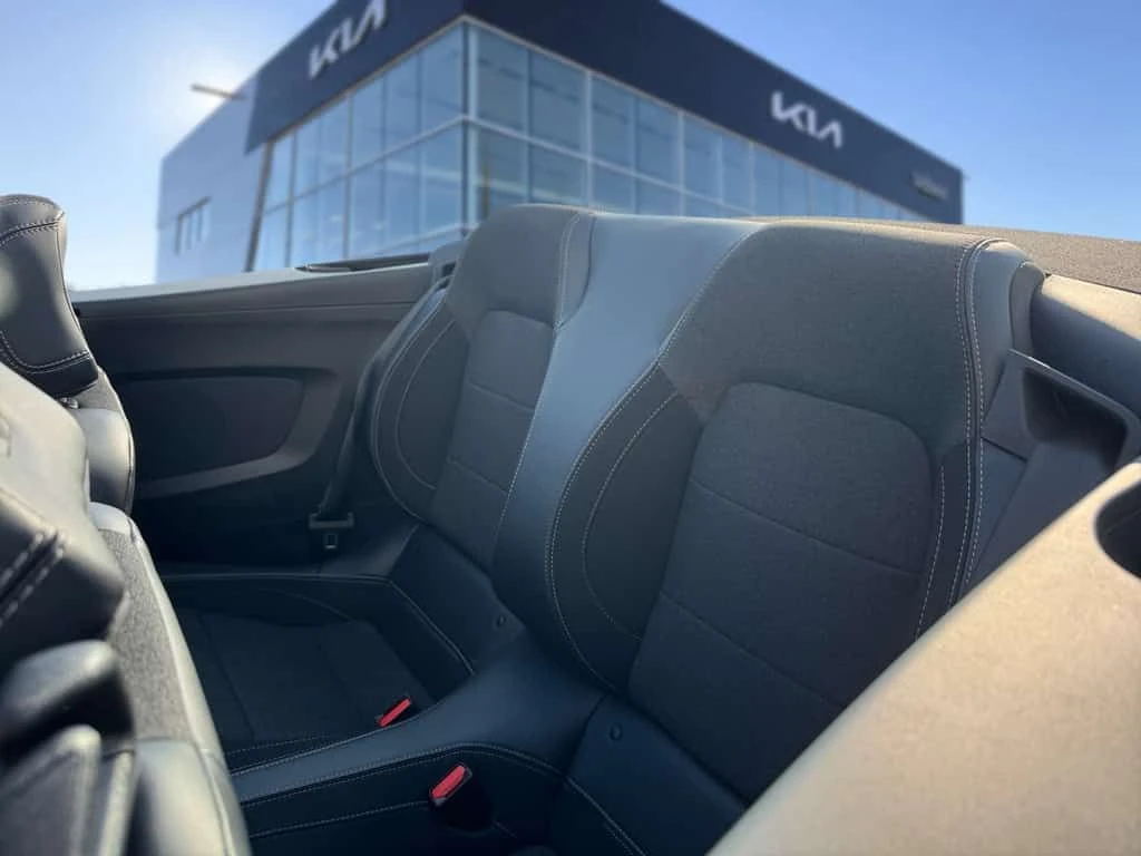 Ford Mustang * 2024 Ford EcoBoost Premium Convertible | C * CAR, снимка 14 - Автомобили и джипове - 53904689