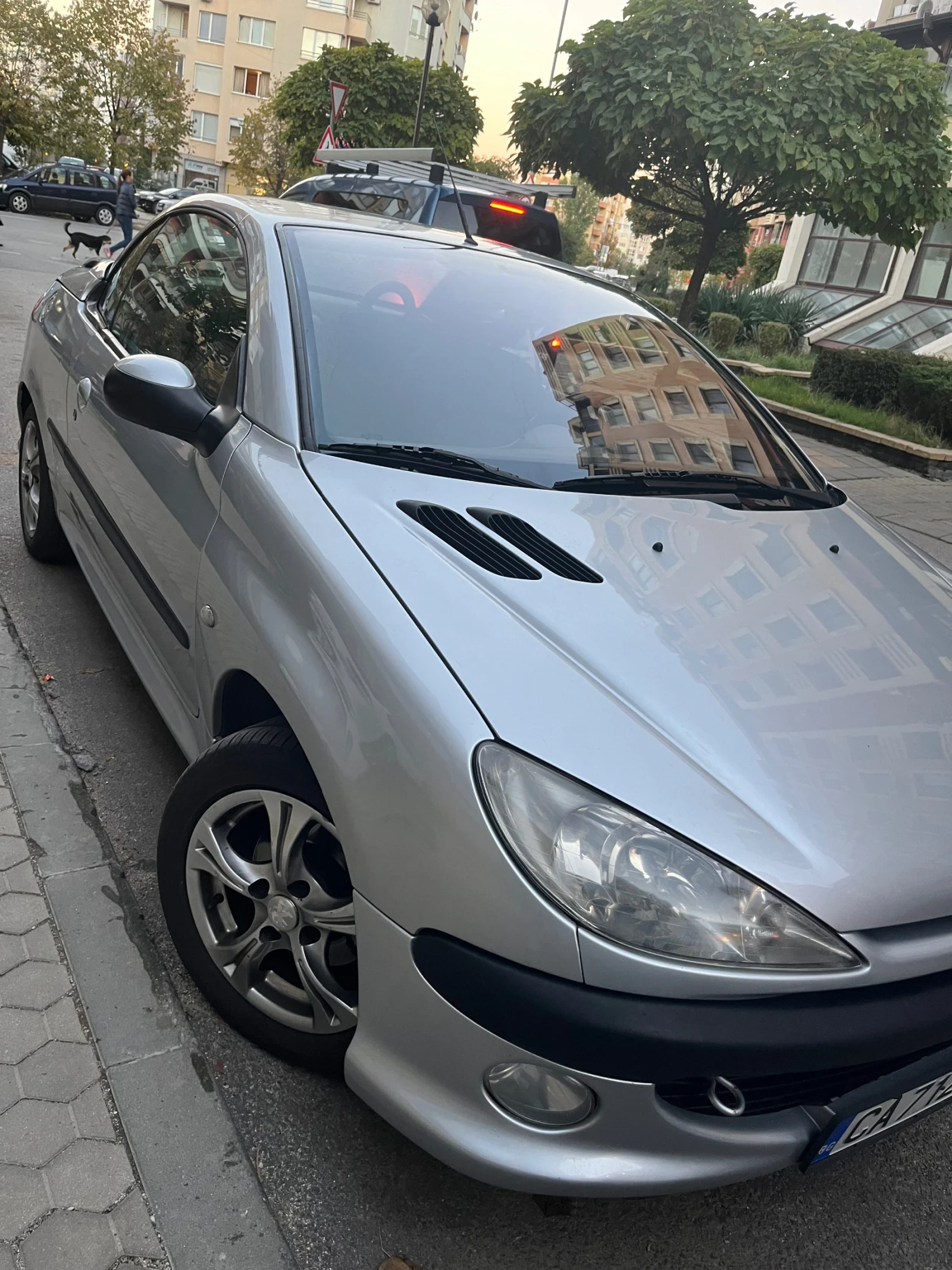 Peugeot 206
