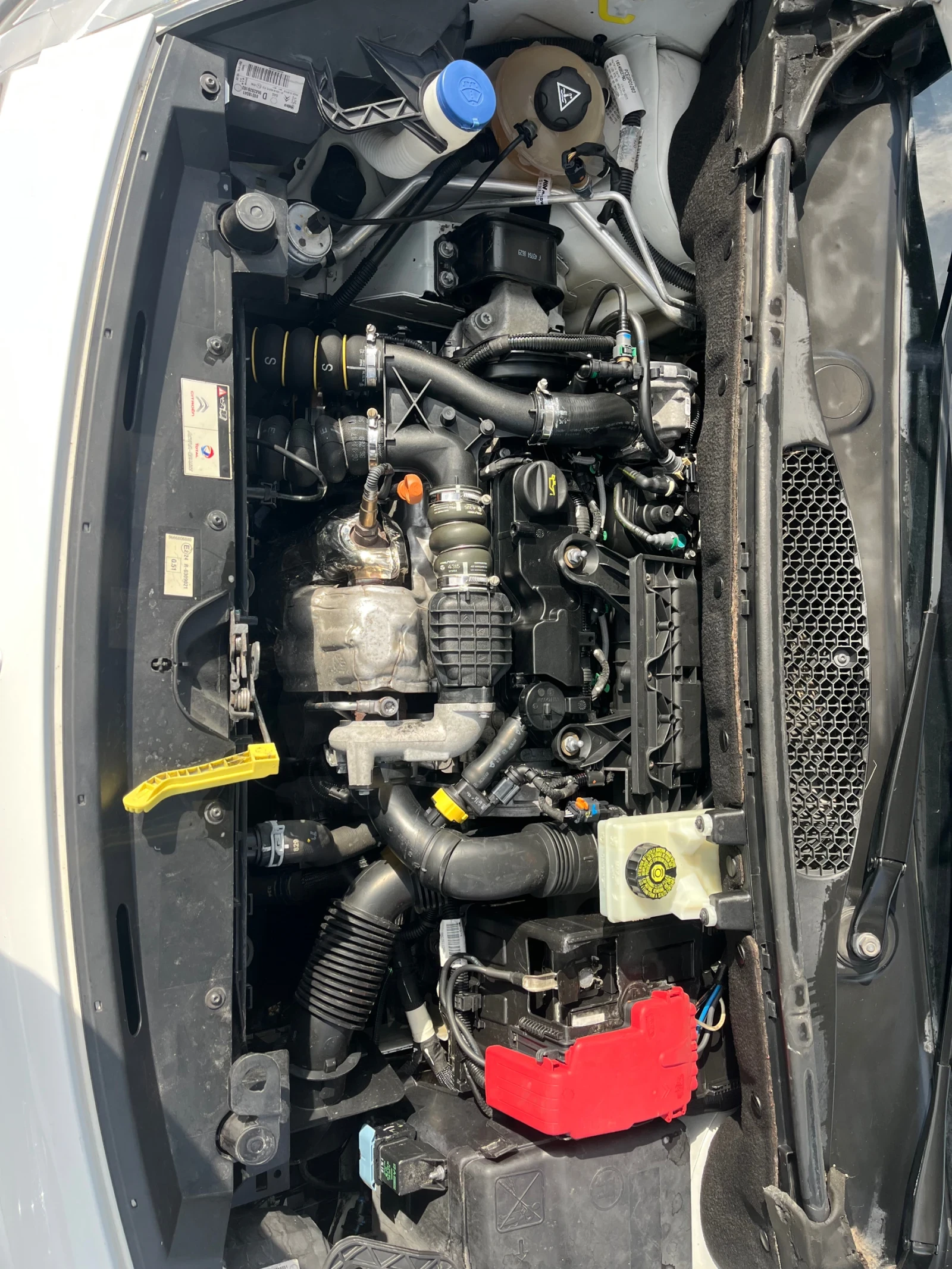 Citroen Berlingo 1.6hdi 110 Top, снимка 16 - Автомобили и джипове - 53939826