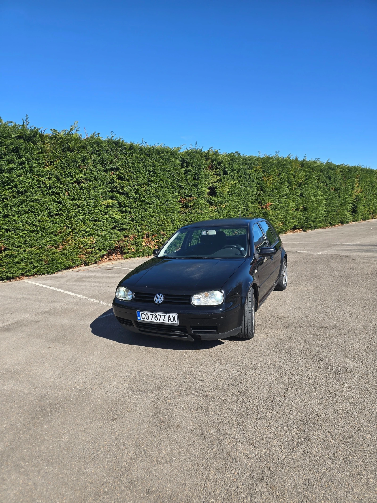 VW Golf