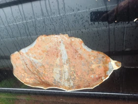 VW T5 undefined | Auto.bg — изображение 12