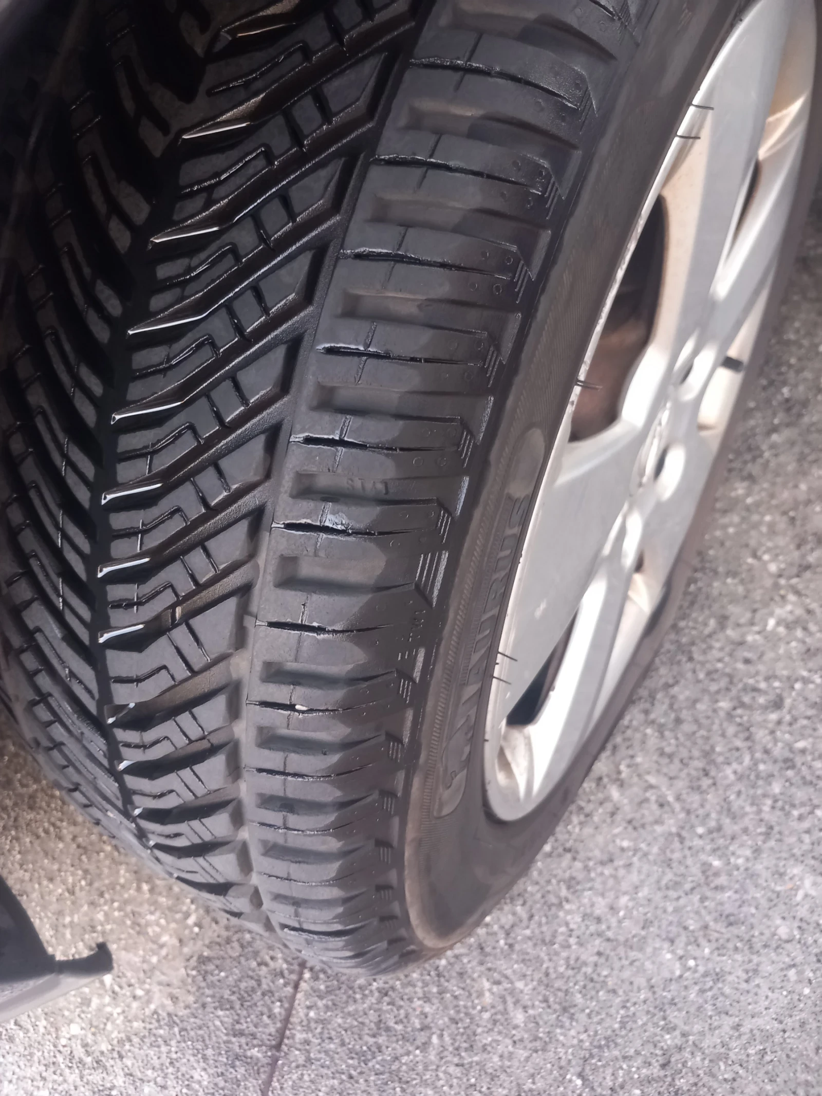 Opel Signum 2.2 direct 2004 - изображение 7