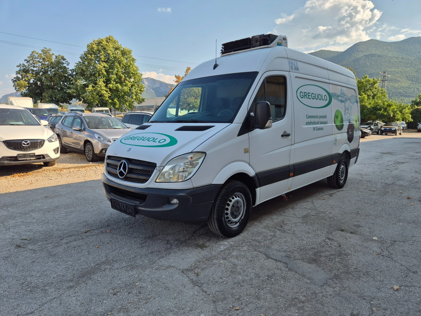 Mercedes-Benz Sprinter 313 2.2CDI ХЛАДИЛЕН KLIMA ITALY