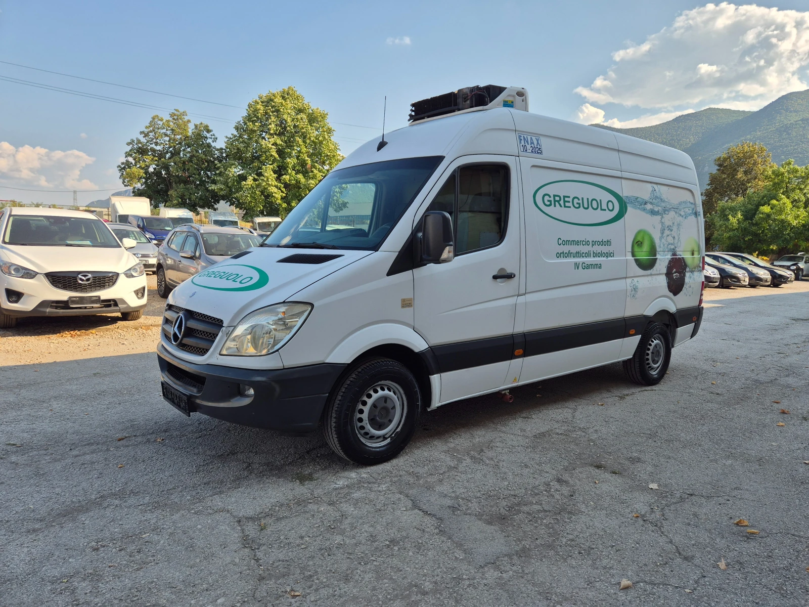 Mercedes-Benz Sprinter 313 2.2CDI ХЛАДИЛЕН KLIMA ITALY, снимка 10 - Бусове и автобуси - 55599027