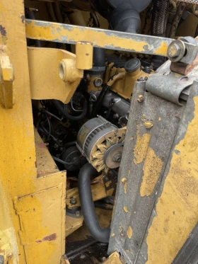    Cat | Mobile.bg    5