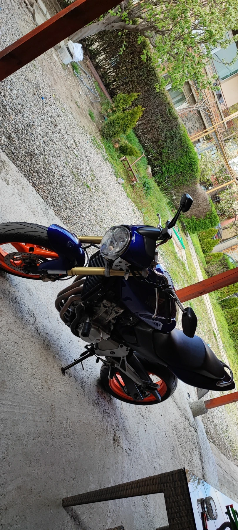 Honda Hornet  - изображение 5