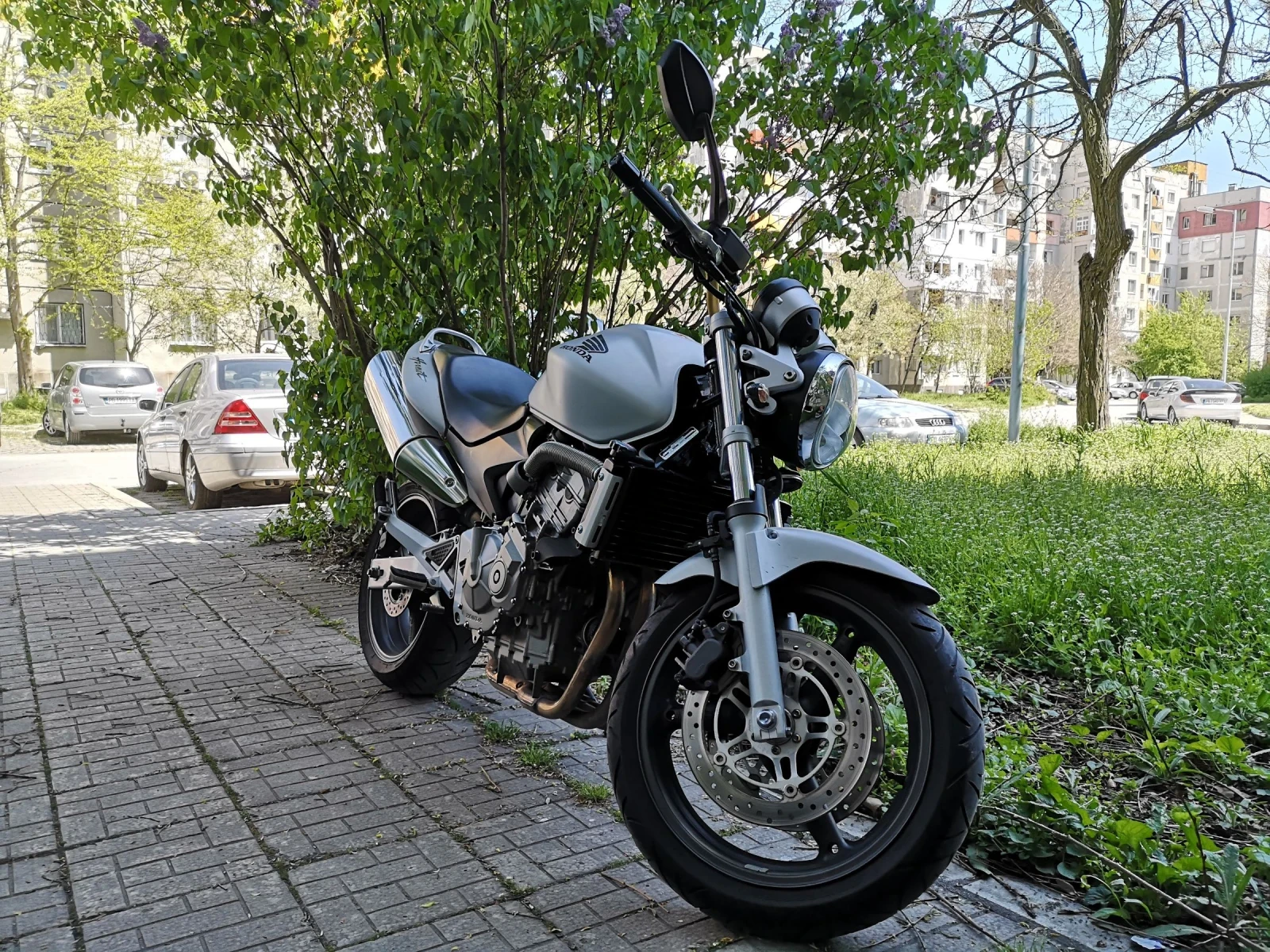 Honda Hornet  - изображение 6