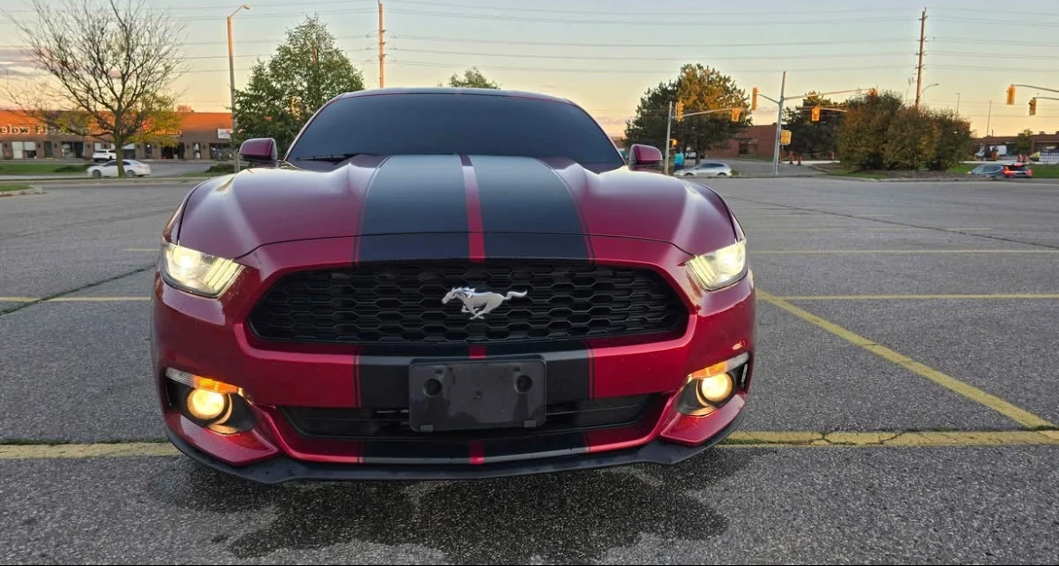 Ford Mustang ECO BOOST * * CARFAX * * АВТО КРЕДИТ * *  - изображение 2
