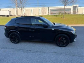 Alfa Romeo Stelvio  Quadrifoglio / АВТОКРЕДИТ/БЕЗ ПЪРВОНАЧАЛНА ВНОСКА, снимка 8