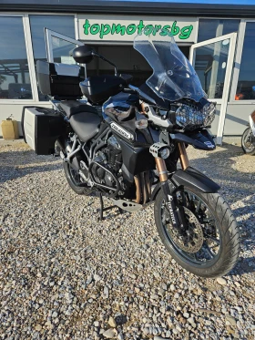  Triumph Tiger