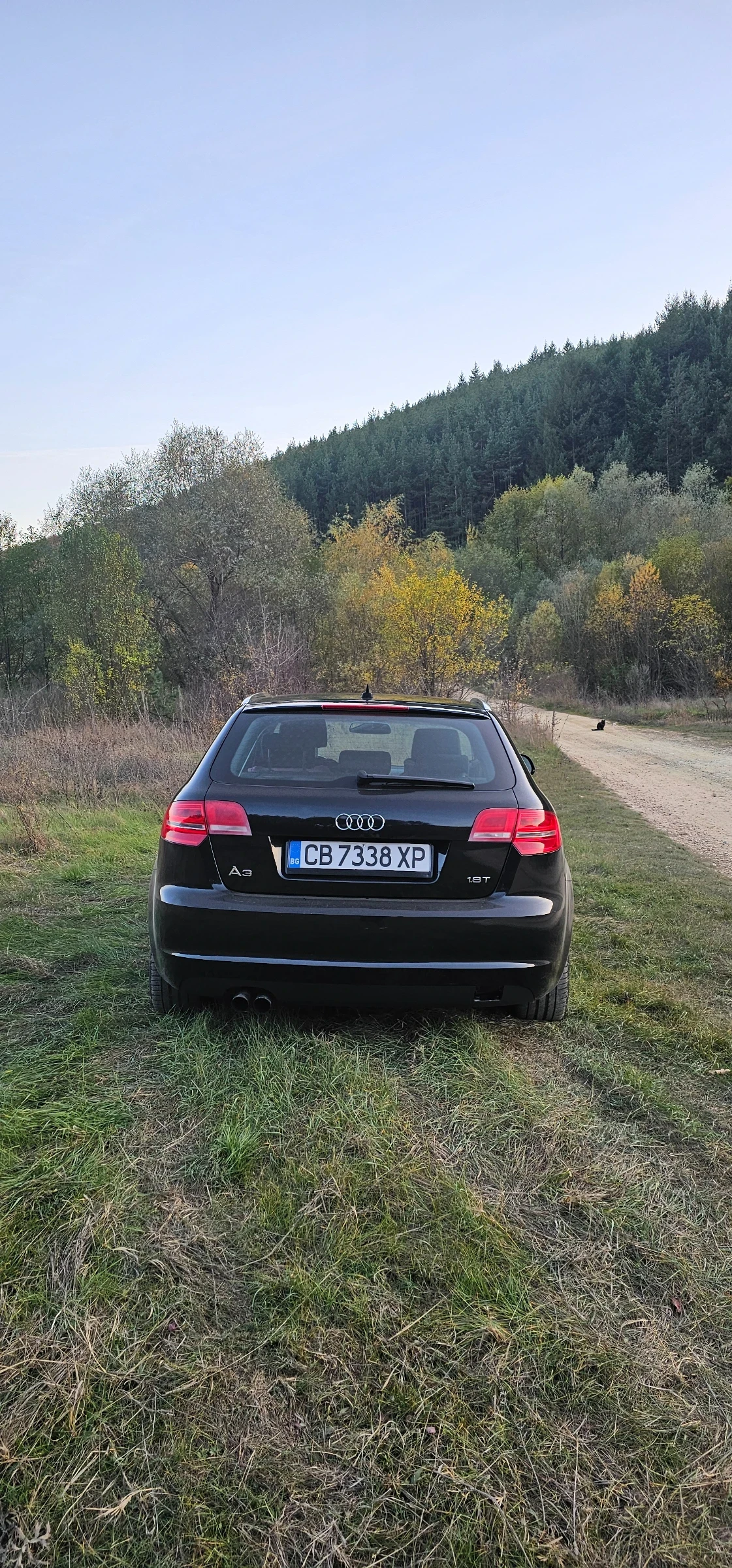 Audi A3 1.8 T - изображение 4