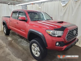 Toyota Tacoma | Mobile.bg � ����� ������ 5